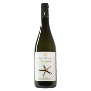 Antica Enotria Falanghina  Bianco Puglia  IGT 2021